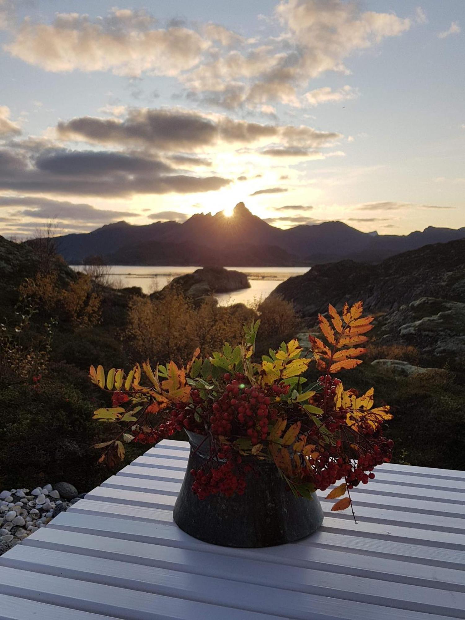 Unique Private Cabin In Lofoten Leknes Zewnętrze zdjęcie